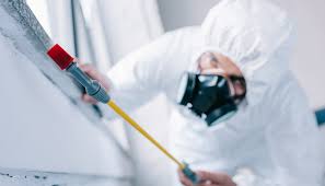 Best Residential Pest Control  in Maple Heights Lake Desire, WA